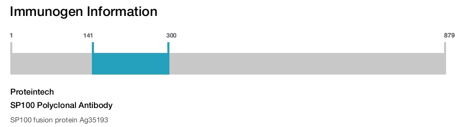 SP100 Polyclonal Antibody