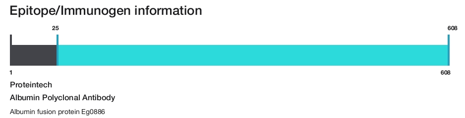 Albumin Polyclonal Antibody