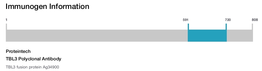 TBL3 Polyclonal Antibody