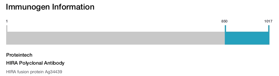 HIRA Polyclonal Antibody