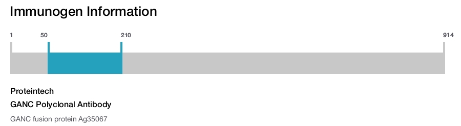 GANC Polyclonal Antibody