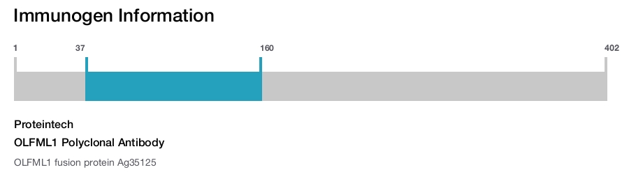 OLFML1 Polyclonal Antibody