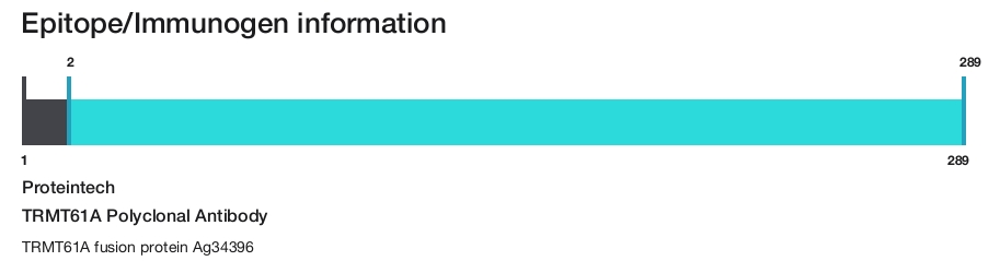 TRMT61A Polyclonal Antibody