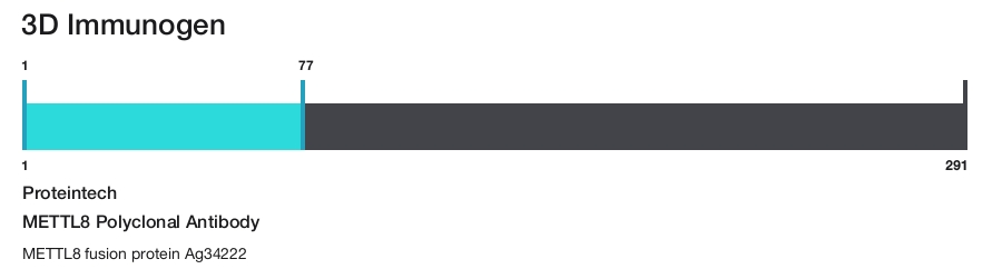 METTL8 Polyclonal Antibody