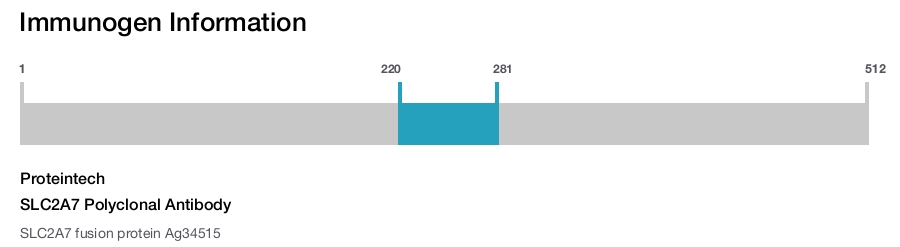 SLC2A7 Polyclonal Antibody