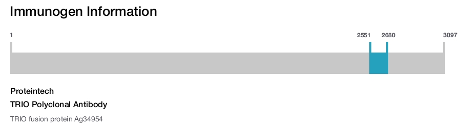 TRIO Polyclonal Antibody