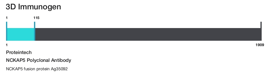 NCKAP5 Polyclonal Antibody