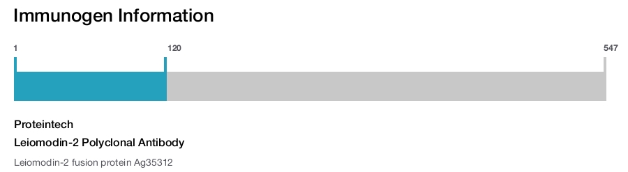 Leiomodin-2 Polyclonal Antibody