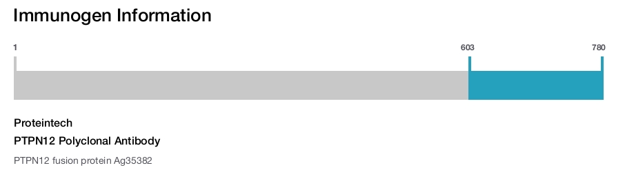 PTPN12 Polyclonal Antibody