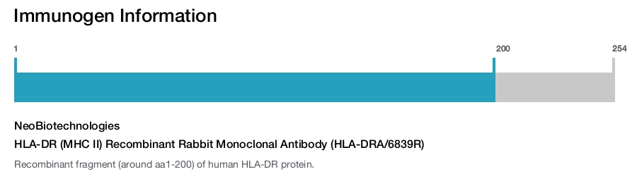 HLA-DR (MHC II) Recombinant Rabbit Monoclonal Antibody (HLA-DRA/6839R)