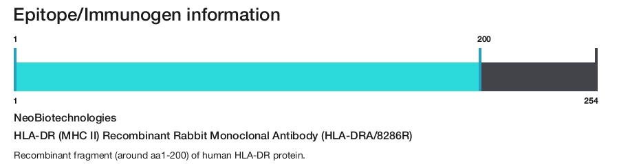 HLA-DR (MHC II) Recombinant Rabbit Monoclonal Antibody (HLA-DRA/8286R)