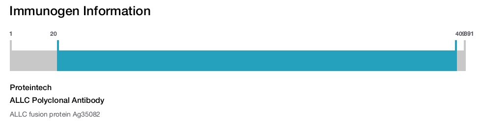 ALLC Polyclonal Antibody