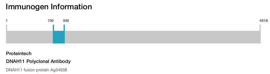 DNAH11 Polyclonal Antibody