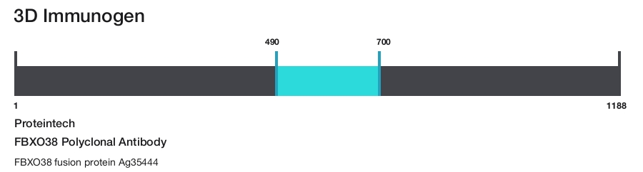 FBXO38 Polyclonal Antibody