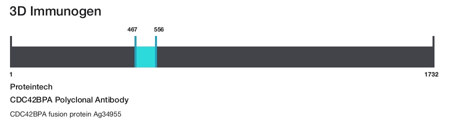 CDC42BPA Polyclonal Antibody