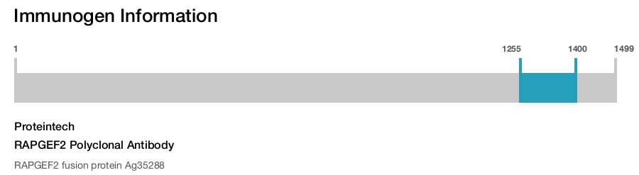 RAPGEF2 Polyclonal Antibody