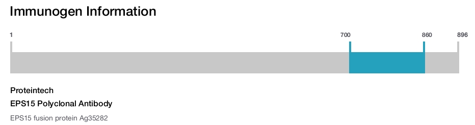 EPS15 Polyclonal Antibody