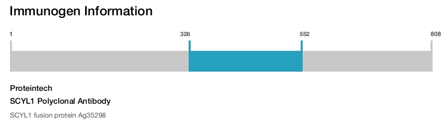 SCYL1 Polyclonal Antibody
