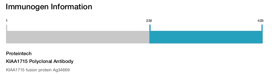 KIAA1715 Polyclonal Antibody