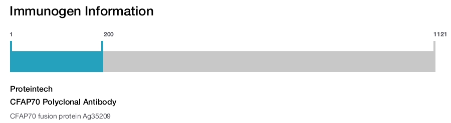 CFAP70 Polyclonal Antibody