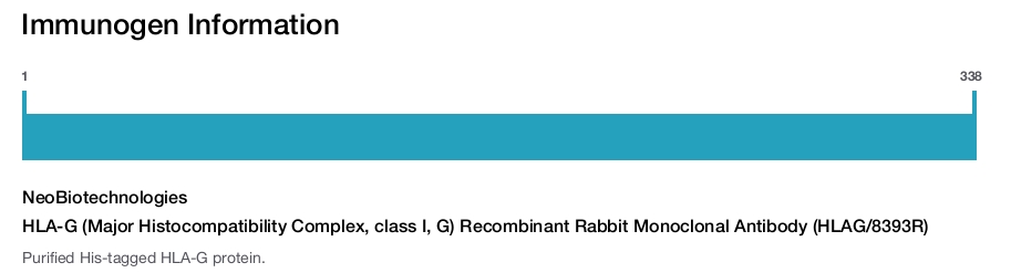 HLA-G (Major Histocompatibility Complex, class I, G) Recombinant Rabbit Monoclonal Antibody (HLAG/8393R)