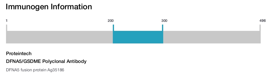 DFNA5/GSDME Polyclonal Antibody
