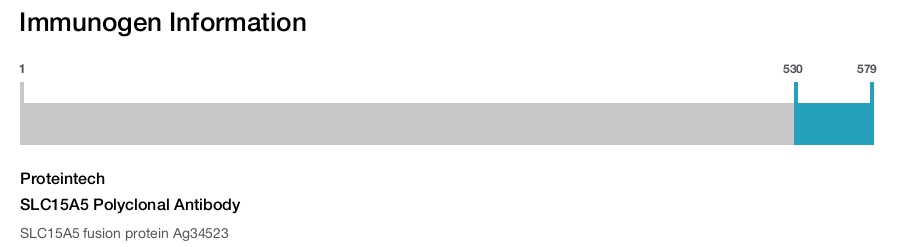 SLC15A5 Polyclonal Antibody