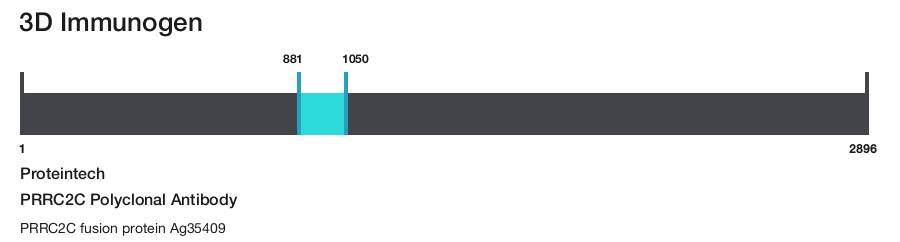 PRRC2C Polyclonal Antibody