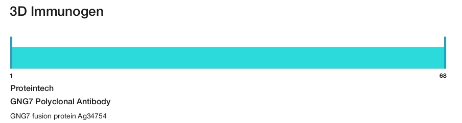 GNG7 Polyclonal Antibody