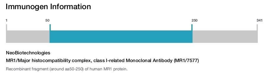 MR1/Major histocompatibility complex, class I-related Monoclonal Antibody (MR1/7577)