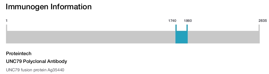 UNC79 Polyclonal Antibody