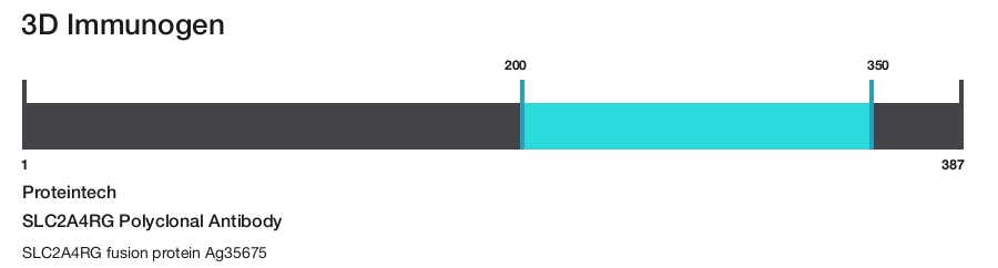SLC2A4RG Polyclonal Antibody