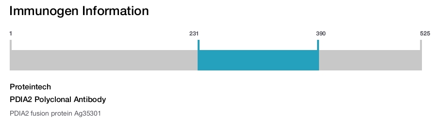 PDIA2 Polyclonal Antibody