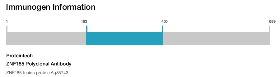 ZNF185 Polyclonal Antibody