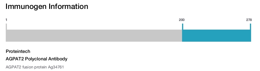 AGPAT2 Polyclonal Antibody