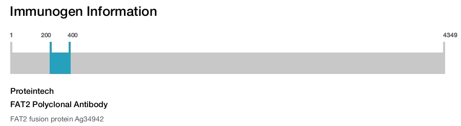 FAT2 Polyclonal Antibody