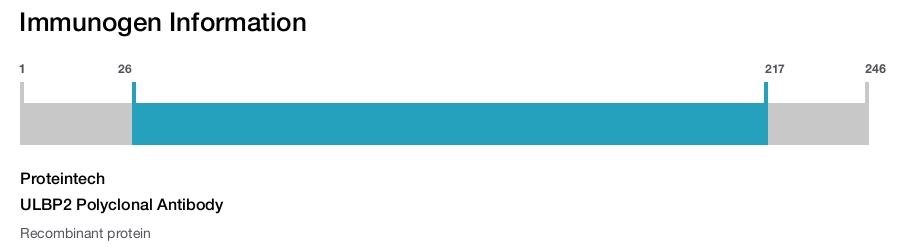 ULBP2 Polyclonal Antibody