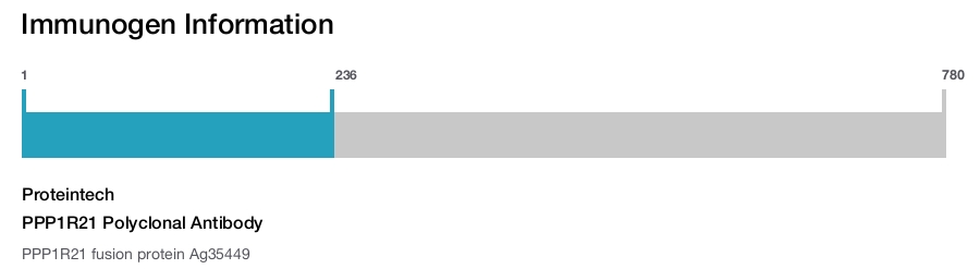 PPP1R21 Polyclonal Antibody