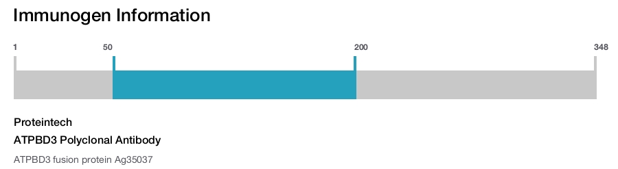 ATPBD3 Polyclonal Antibody