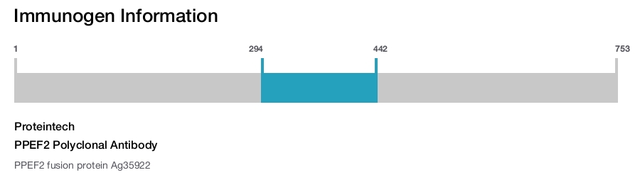PPEF2 Polyclonal Antibody
