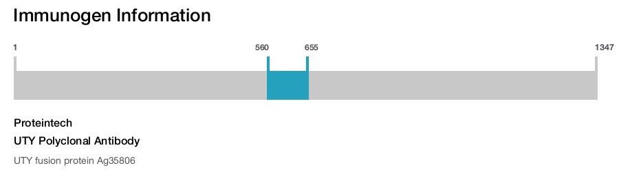 UTY Polyclonal Antibody