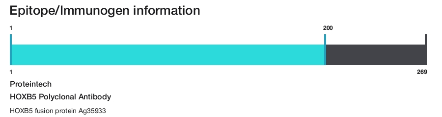 HOXB5 Polyclonal Antibody