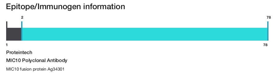 MIC10 Polyclonal Antibody