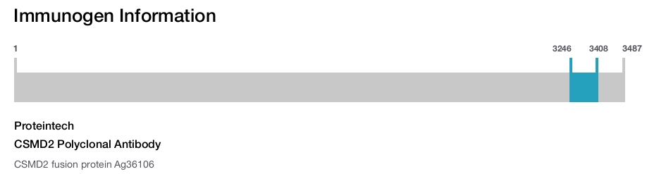 CSMD2 Polyclonal Antibody