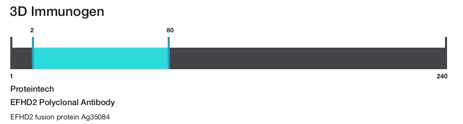 EFHD2 Polyclonal Antibody