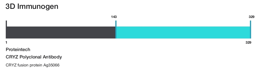 CRYZ Polyclonal Antibody
