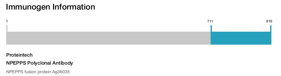 NPEPPS Polyclonal Antibody