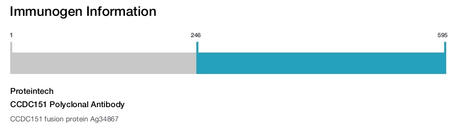 CCDC151 Polyclonal Antibody