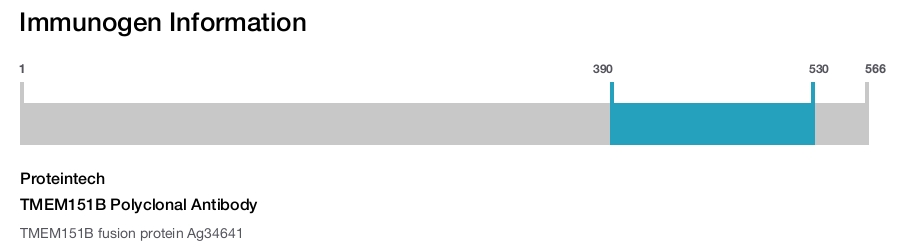 TMEM151B Polyclonal Antibody