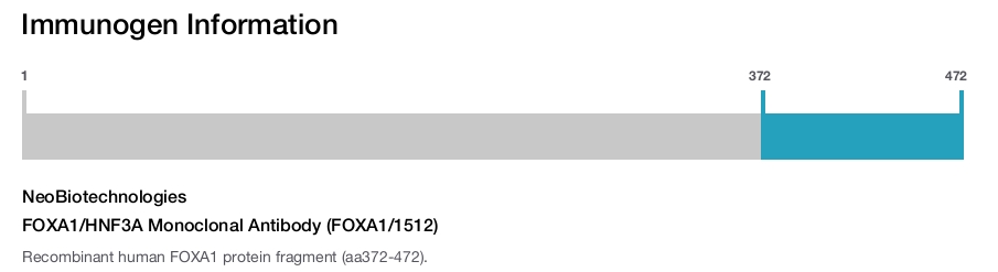 FOXA1/HNF3A Monoclonal Antibody (FOXA1/1512)
